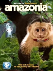  فیلم Amazon 2013
