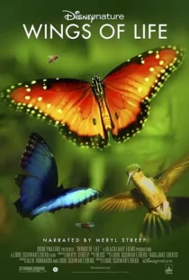  فیلم Disneynature: Wings of Life 2011